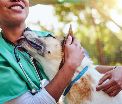 Every year about 6 million dogs and almost 6 million cats are diagnosed with cancer in the U.S. alone. Petco Love and Blue Buffalo have donated a $100,000 matching gift to Morris Animal Foundation's Stopc Cancer Furever campaign.
