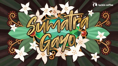 Sumatra Gayo, Treasure of the Tropical Rainforest