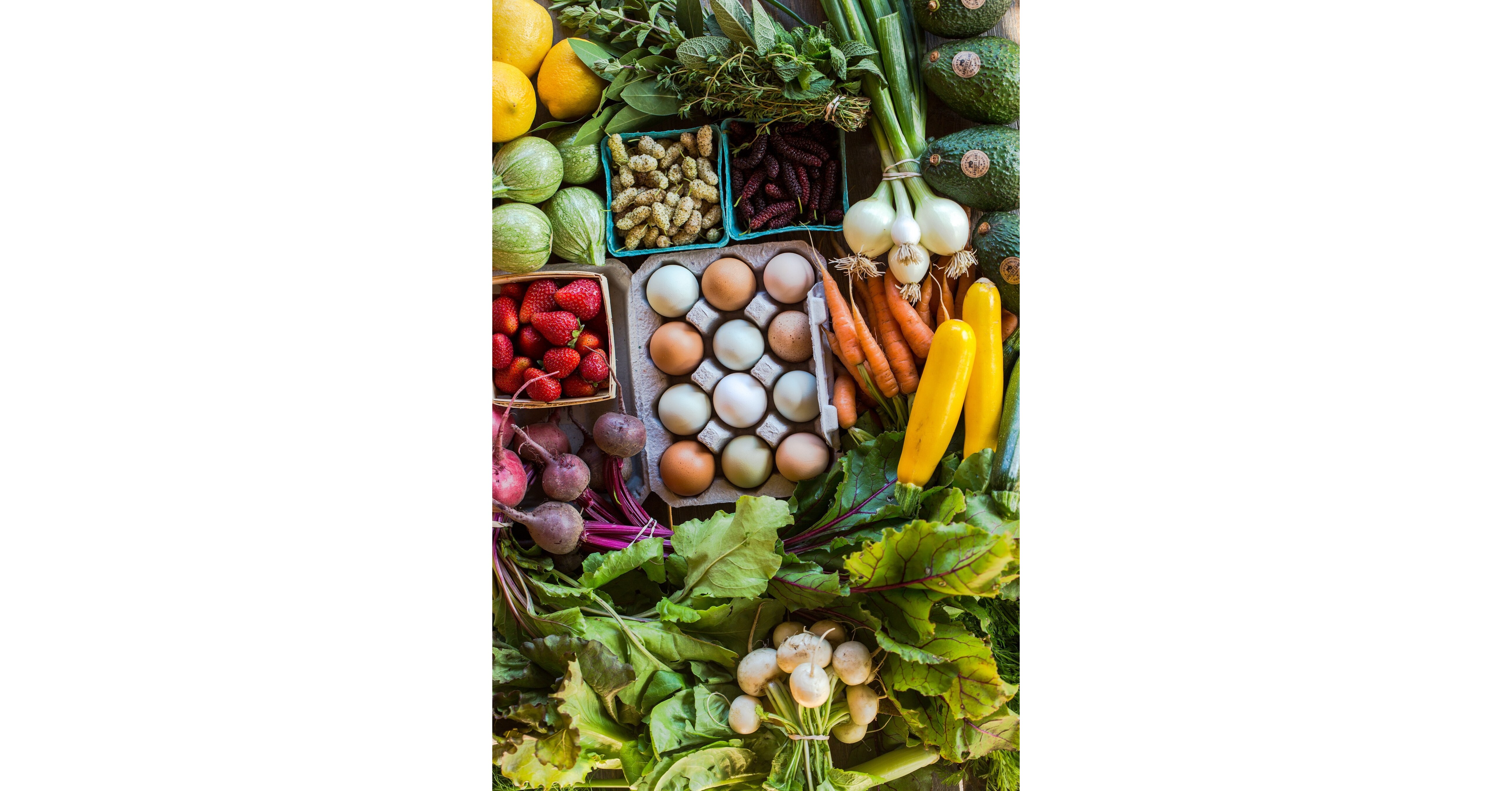 Celebrate Summer at The Biggest Little Farm Apricot Lane Farms