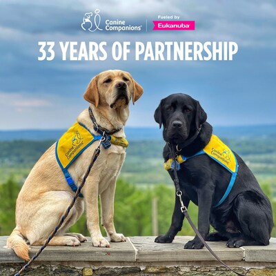 Two Labrador Retriever Service Dogs featured as Eukanuba and Canine Companions announce partnership renewal for 33rd year.