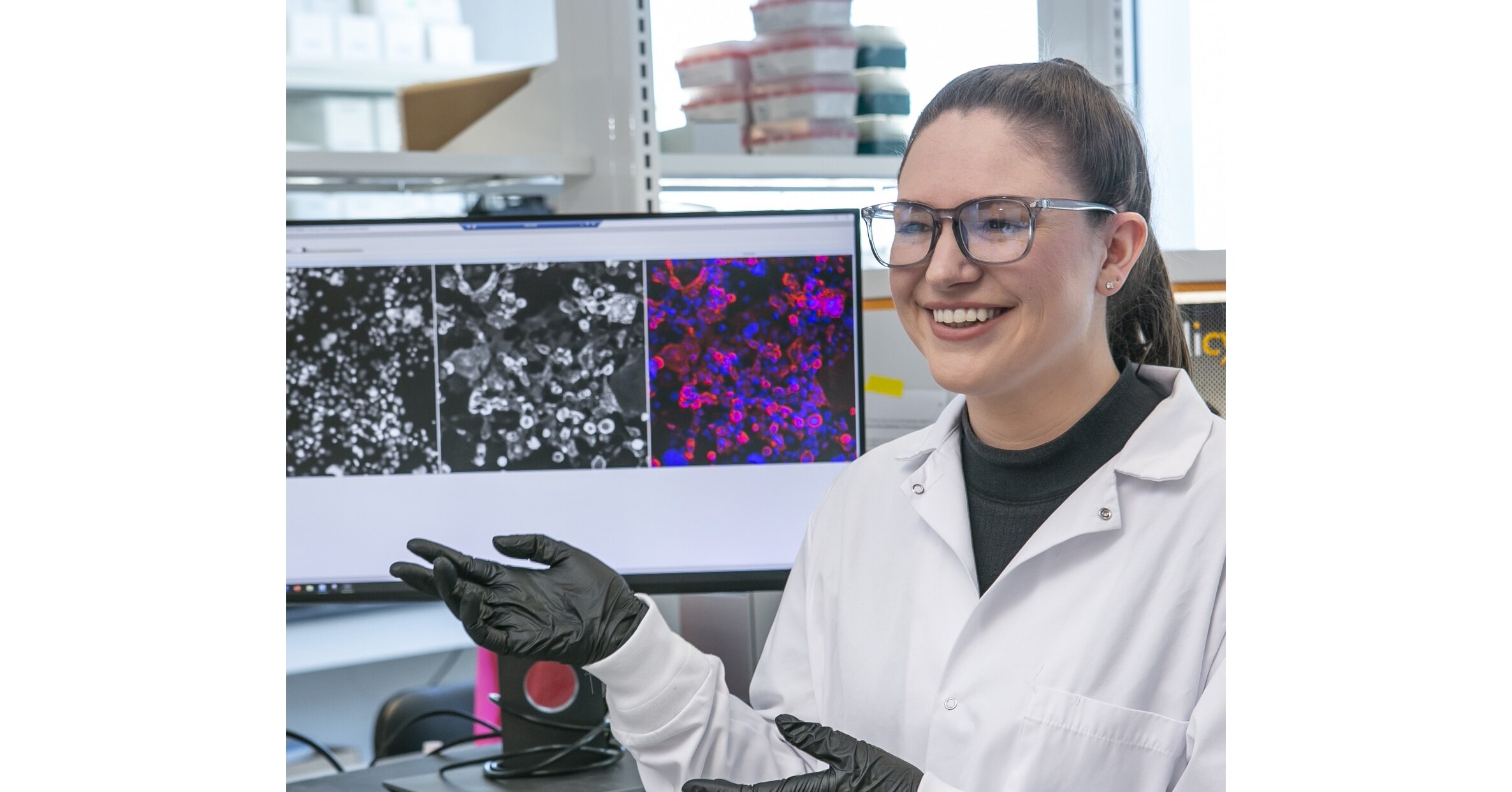 Antibody Startup Emerges from Stealth: Cell Surface Bio Set to Transform the $10B Antibody Reagent Market