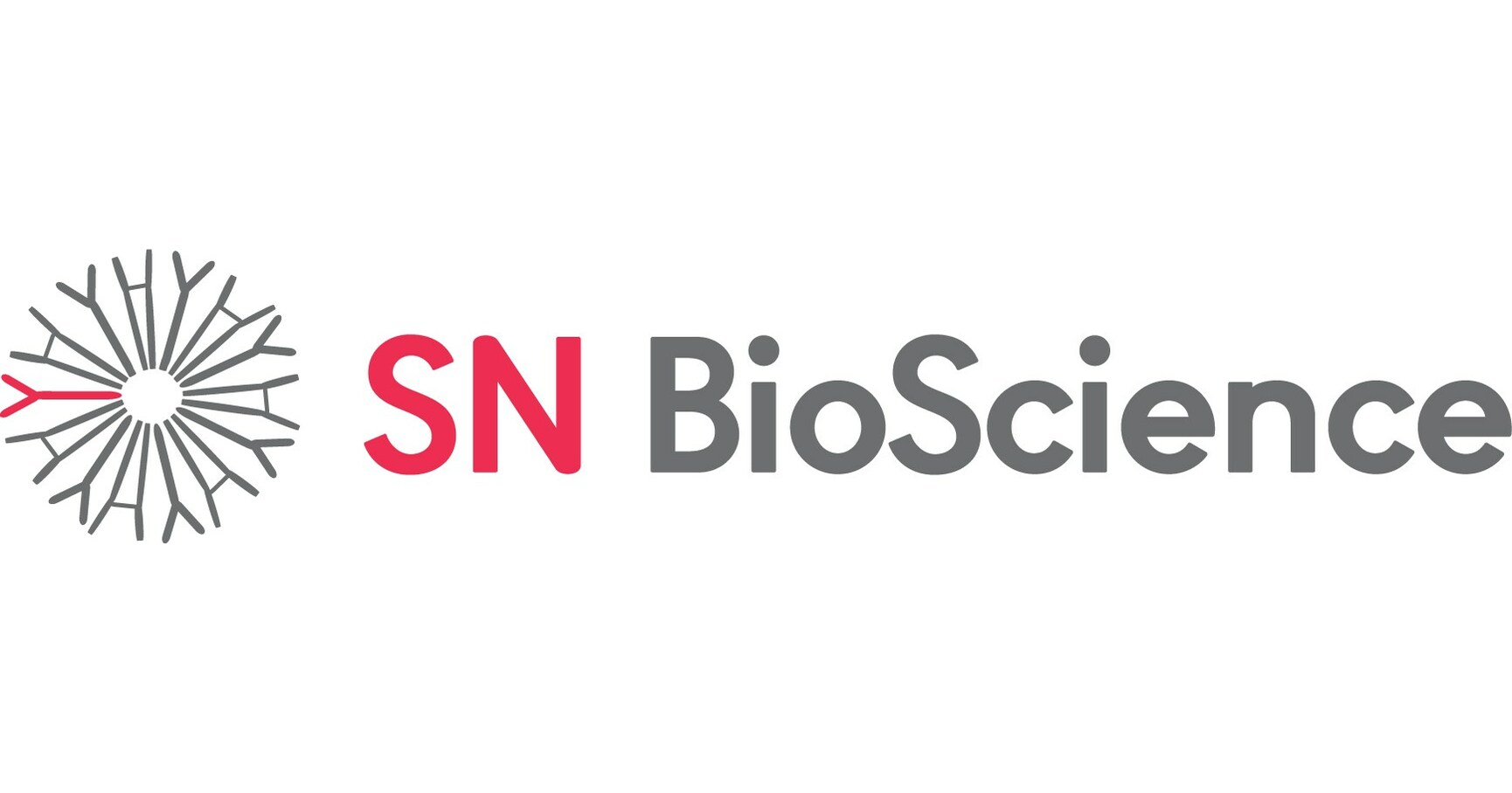 SN Bioscience Receives FDA Fast Track Designation for Small Cell Lung Cancer