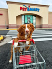 PetSmart Searches for Next 'Chief Toy Tester' Offering $20,000 to the New Team Members