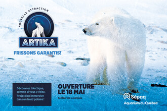 L’aventure polaire Artika est de retour à l’Aquarium du Québec, juste à temps pour la saison estivale. (Groupe CNW/Société des établissements de plein air du Québec)