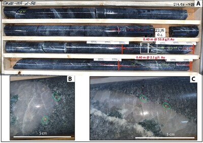 Figure 6. Core Photo from VM22-001, showing visible gold on quartz vein contact (green circles on zoom in photo B and C below). The intercept returned 53.8 g/t gold over 0.40 m (ETW 0.20 m). (CNW Group/Mandalay Resources Corporation)