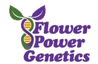 Flower Power Genetics is a leading provider of premium medicinal cannabis genetics, dedicated to reintroducing the world to the best purebred, premium medicinal cannabis strains.