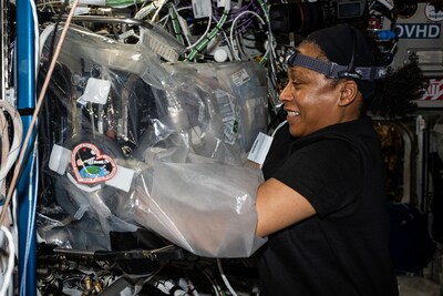 An image of NASA astronaut Jeanette Epps using the glovebox BioFabrication Facility in the Columbus European Laboratory during Expedition 71 on April 10, 2024. Credits: NASA/Michael Barratt