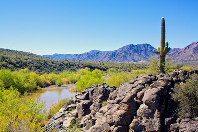 A lone Saguaro stands in forefront of a desert landscape on Verde River near Bloody Basin. istock.com/equigini