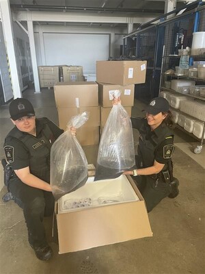 Fishery officers from DFO's Conservation and Protection Directorate show a sample of the 109 kilograms of elvers seized during the operation at the Toronto International Airport. (CNW Group/Fisheries and Oceans (DFO) Canada)