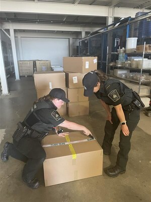 Fishery officers from DFO's Conservation and Protection Directorate open a carton as part of a major seizure of elvers at the Toronto International Airport. (CNW Group/Fisheries and Oceans (DFO) Canada)