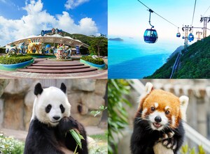 Ocean Park Hong Kong: A World Where Every Smile Counts