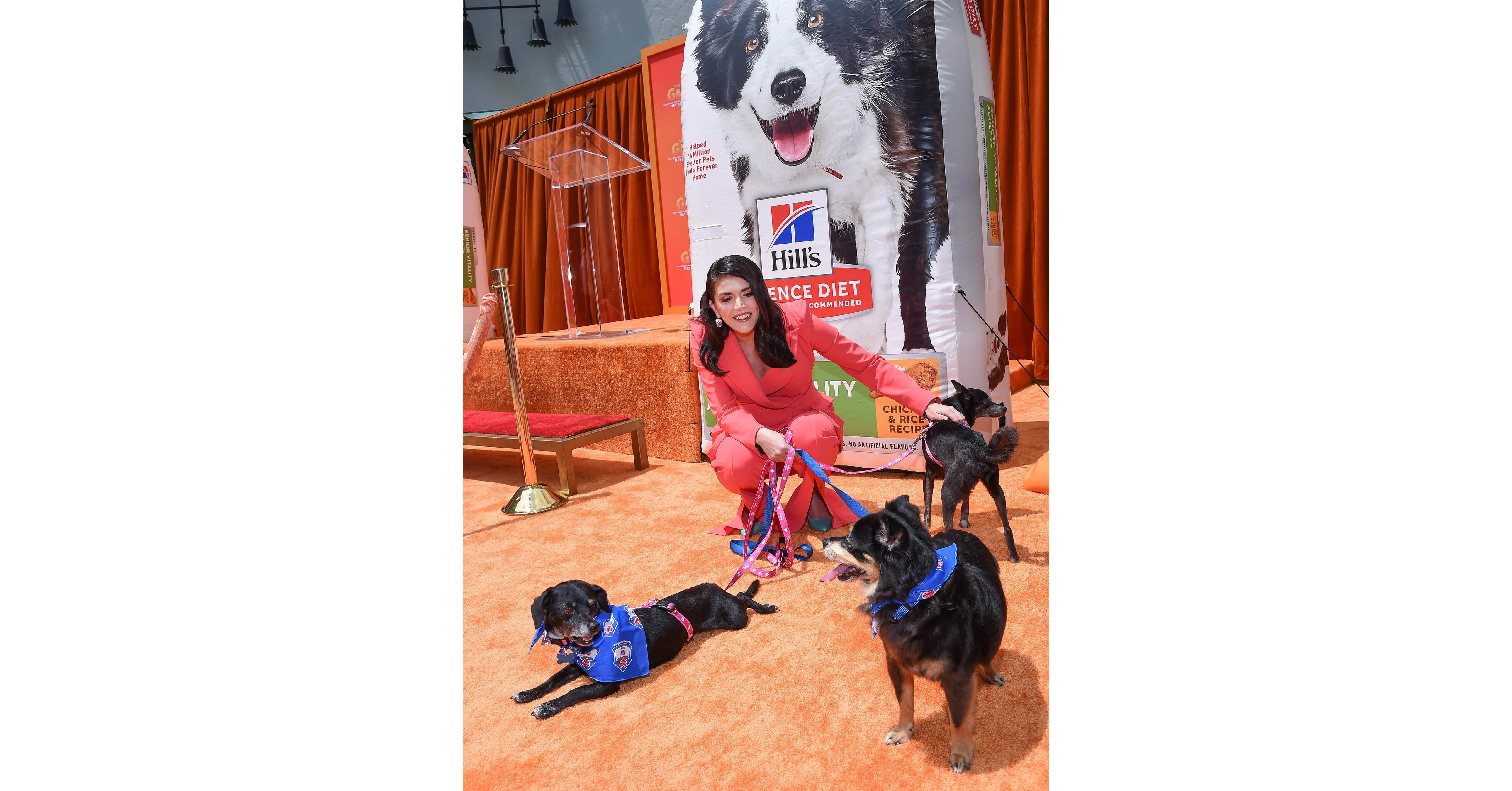 HILL’S PET NUTRITION PARTNERS WITH ACTRESS AND SENIOR DOG OWNER CECILY STRONG ON NEW CAMPAIGN TO HELP SENIOR PETS AGE BOLDLY HILL’S PET NUTRITION PARTNERS WITH ACTRESS AND SENIOR DOG OWNER CECILY STRONG ON NEW CAMPAIGN TO HELP SENIOR PETS AGE BOLDLY