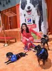 HILL'S PET NUTRITION PARTNERS WITH ACTRESS AND SENIOR DOG OWNER CECILY STRONG ON NEW CAMPAIGN TO HELP SENIOR PETS AGE BOLDLY