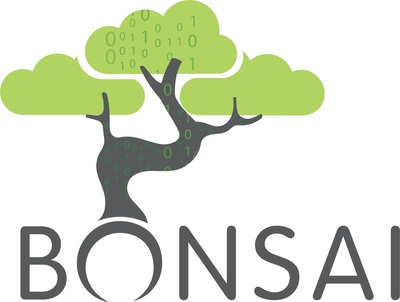Bonsai Data Solutions