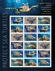 USPS Makes a Splash With New Sea Turtles Stamps