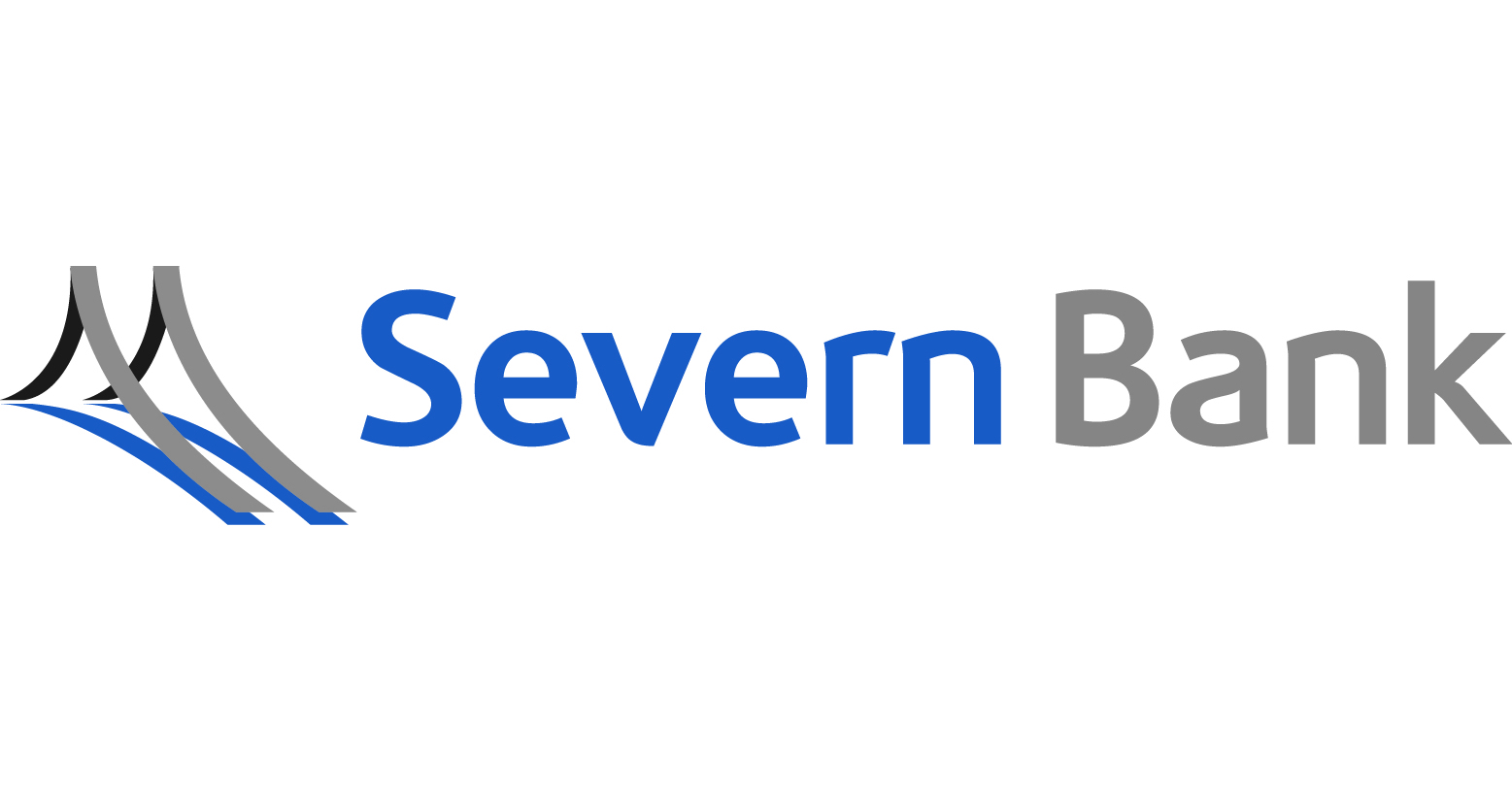 Severn Bank Appoints Vance W. Adkins Chief Financial Officer