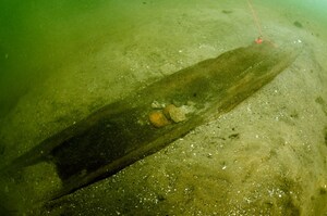 Wisconsin Historical Society Announces Cache of Ancient Canoes Discovered in Madison Lake