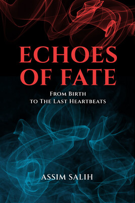 Echos of Fate cover