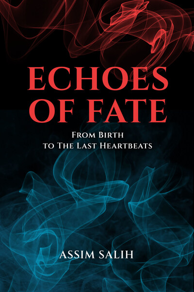 Echos of Fate cover