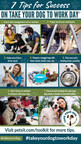7 Tips for Take Your Dog To Work Day Success (PSI infographic)
