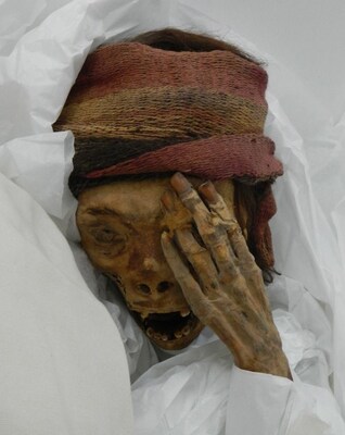 Photograph of the female mummy in Figure 1A. Her nickname in the Peruvian town where she is housed is Rosita. Photo Credit: Linda Sutherland, M.D.  Published by Oxford University Press on behalf of the European Society of Cardiology (PRNewsfoto/MemorialCare)