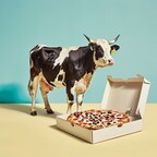 NewMoo Creates Casein in Plants for Crafting Moo-Free Cheese