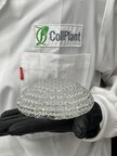 CollPlant Biotechnologies Announces First Quarter Financial Results For 2024 and Provides Corporate Update