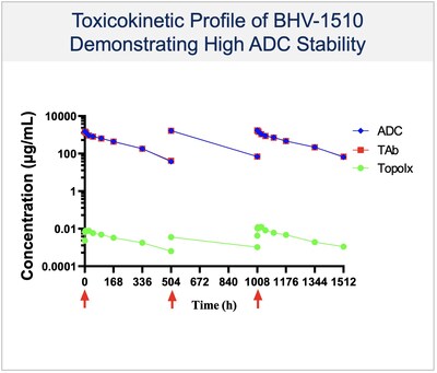 Figure 6: BHV-1510 toxicokinetic data demonstrates a highly stable ADC with minimal free payload in circulation.