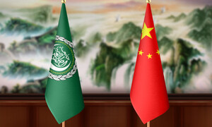What insights does progress in China-Arab cooperation offer to the world?: Global Times editorial