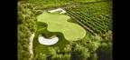 Custom Luxury Golf Greens for Commercial and Residential spaces from Back Nine Greens & North Texas Luxury Lawns