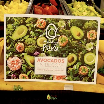 Pictured: Avocados from Peru marketing material