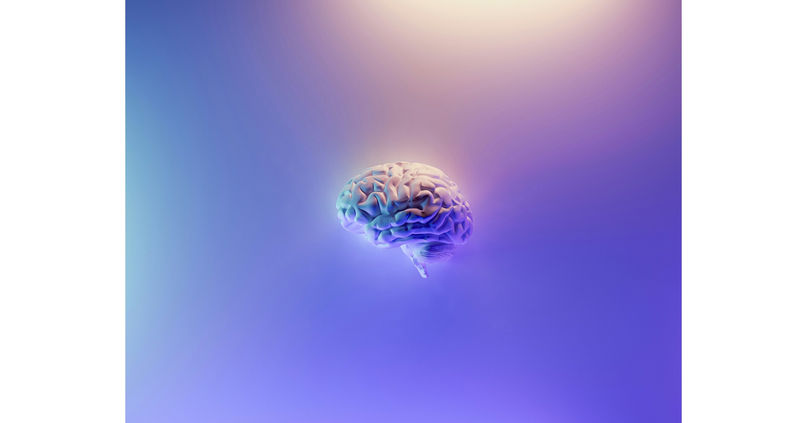 World Brain Day: Brain Power Wellness Reviews Building A Great Brain ...