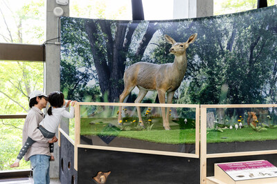 Featuring immersive environments, hands-on fun and multimedia experiences, the Ontario Science Centre’s new exhibition Nature All Around Us looks at the many ways our daily lives are connected with nature. (CNW Group/Ontario Science Centre)