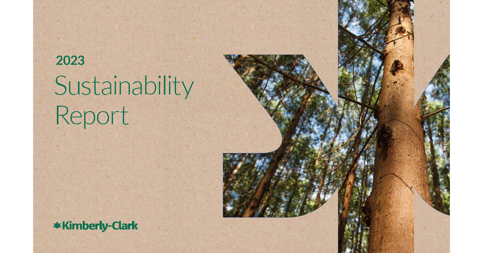 Kimberly-Clark Reports Progress Toward 2030 Sustainability Goals - Jun ...