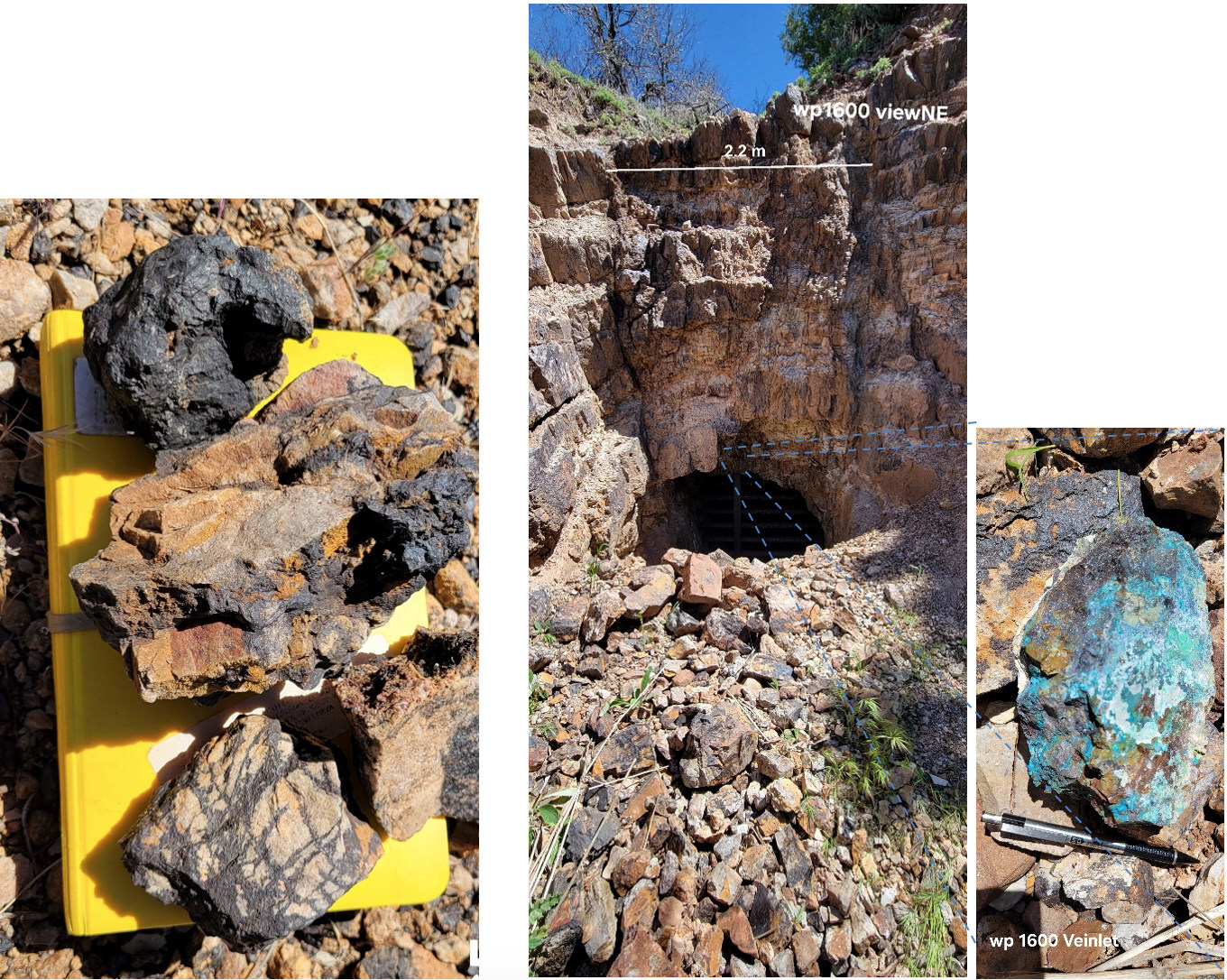 Figure 1. Left: sample 41550: silver bearing (1,240 g/t Ag) quartzite-manganese hydrothermal breccia with iron oxides, and copper (1.36%), lead (1.57%), zinc (0.29%) oxides in matrix and cavities. Center and right: Sample 41558. Adit exposing qz-Mn vein in bedded pebbly conglomeratic sandstone with copper oxides (azurite-malachite-chrysocolla), plus sulfides chalcocite, galena and minor sphalerite with 458 g/t Ag, 7.79% Cu, 6.2% Pb and 0.42% Zn. Figure 1. Left: sample 41550: silver bearing (1,240 g/t Ag) quartzite-manganese hydrothermal breccia with iron oxides, and copper (1.36%), lead (1.57%), zinc (0.29%) oxides in matrix and cavities. Center and right: Sample 41558. Adit exposing qz-Mn vein in bedded pebbly conglomeratic sandstone with copper oxides (azurite-malachite-chrysocolla), plus sulfides chalcocite, galena and minor sphalerite with 458 g/t Ag, 7.79% Cu, 6.2% Pb and 0.42% Zn.
