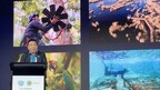 Huawei и МСОП проводят саммит Tech4Nature для продвижения инноваций в сфере охраны природы