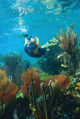 Snorkeling, coral reefs