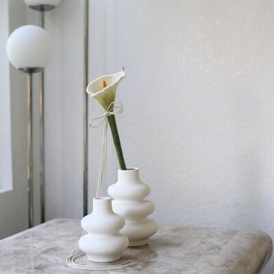 catenary most beautiful flora cat toy wand in vase of modern home