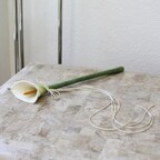 flora cat toy wand by catenary laying on stone table of modern home