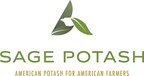 Sage Potash Grants Stock Options