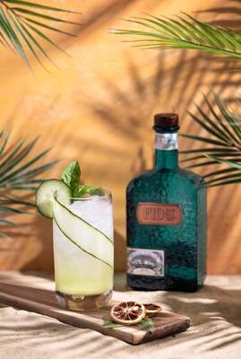 Fid Street Gin & its Hydration Therapy Signature Cocktail