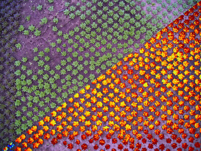 Unable to view the image, Please provide a valid URL.