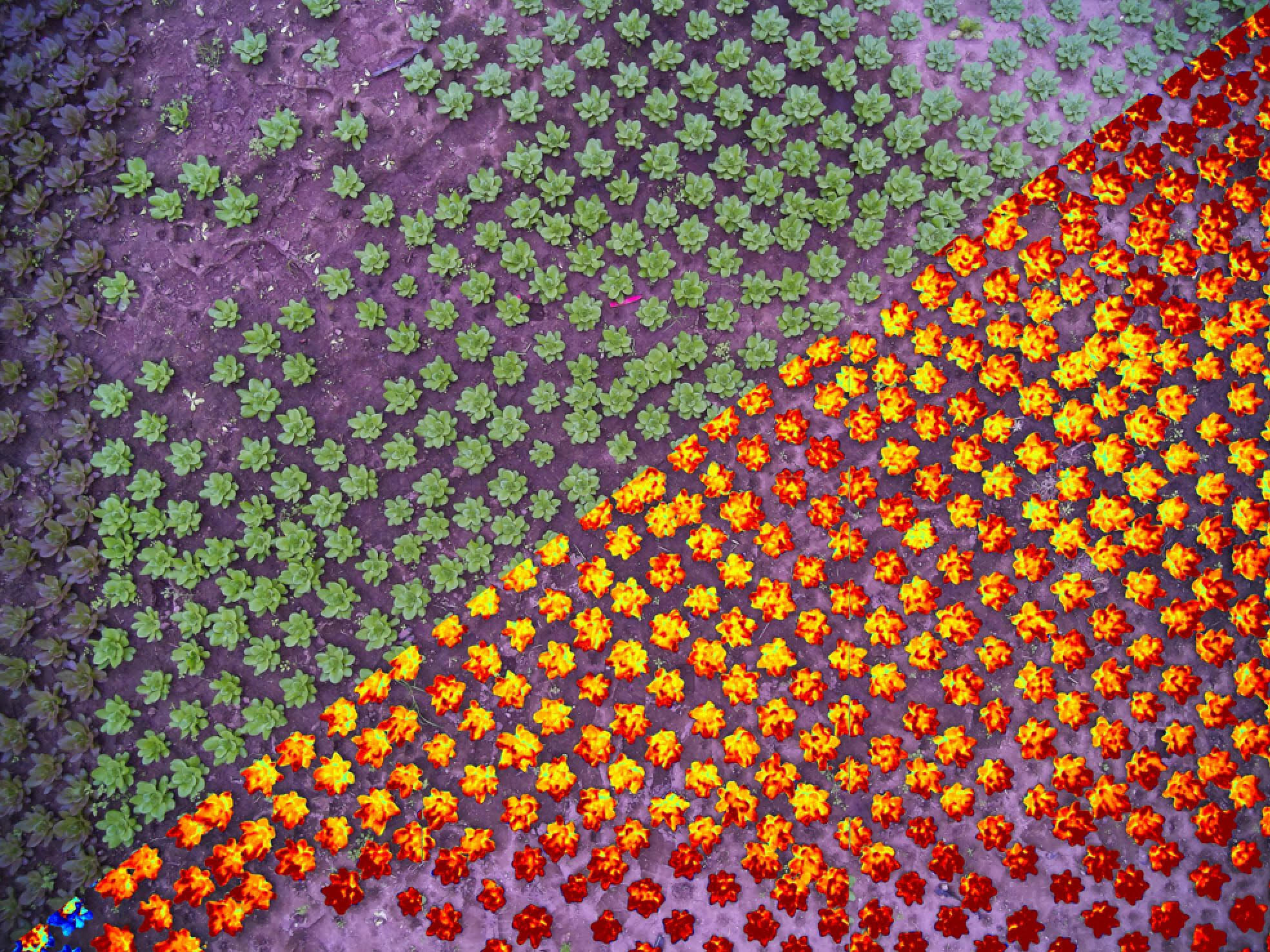 Unable to view the image, Please provide a valid URL.