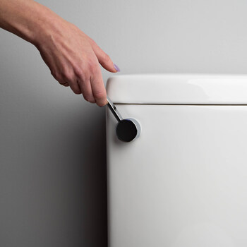 Toilet by the Convenient Height dual flush handle