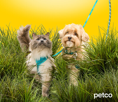 Petco shares tips from Chief Veterinarian Dr. Whitney Miller to help pets stay cool, safe and happy in the months ahead.