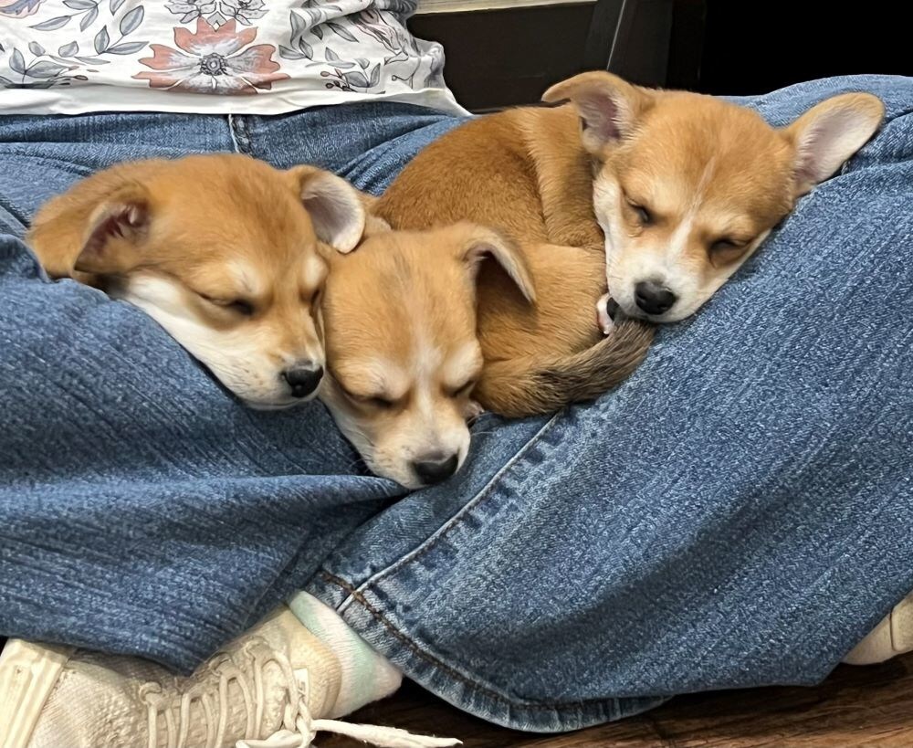 Unable to view the image, Please provide a valid URL.