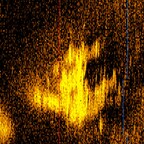 Sonar image captured by Deep Sea Vision during the company’s 90-day expedition to search for Amelia Earhart’s Lockheed Electra 10-E aircraft