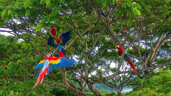 Unable to view the image, Please provide a valid URL.