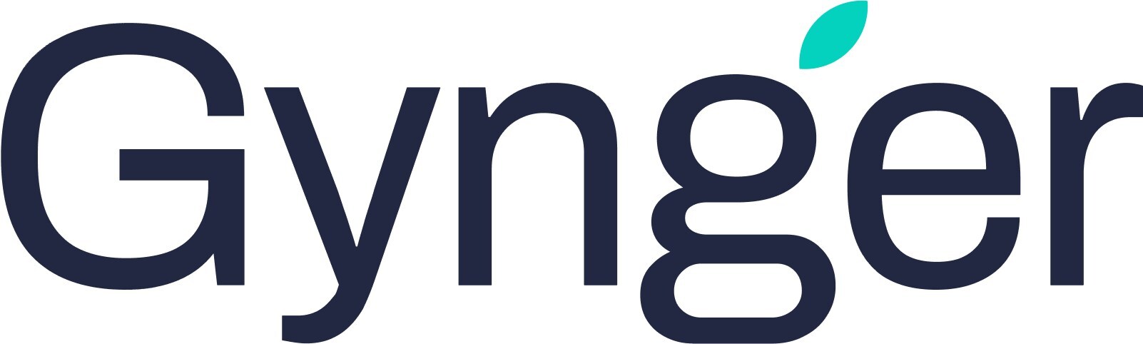 Gynger secures $20 million in Series A funding to revolutionize corporate technology purchasing