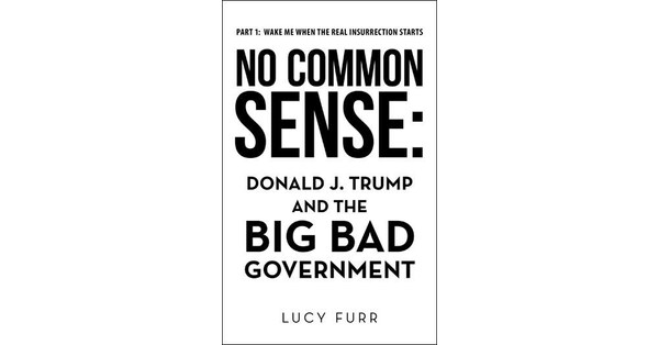 New political satire book educates, entertains and calls on readers to resist a corrupt, authoritarian federal government